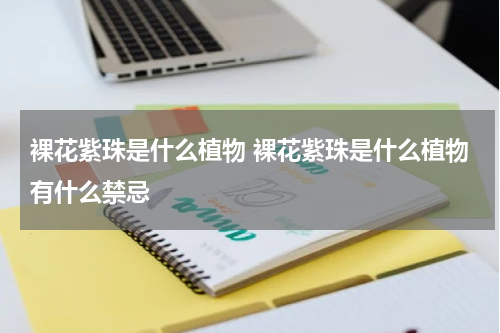 裸花紫珠是什么植物 裸花紫珠是什么植物有什么禁忌