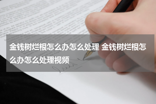 金钱树烂根怎么办怎么处理 金钱树烂根怎么办怎么处理视频