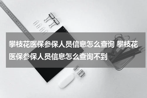 攀枝花医保参保人员信息怎么查询 攀枝花医保参保人员信息怎么查询不到