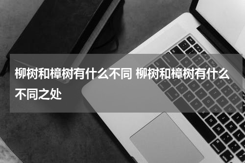 柳树和樟树有什么不同 柳树和樟树有什么不同之处