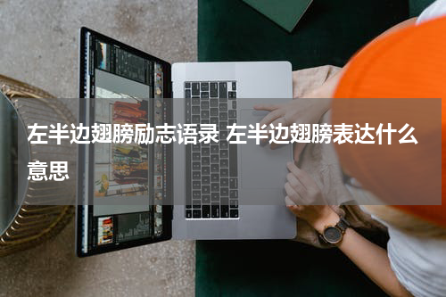左半边翅膀励志语录 左半边翅膀表达什么意思