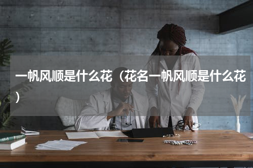 一帆风顺是什么花（花名一帆风顺是什么花）
