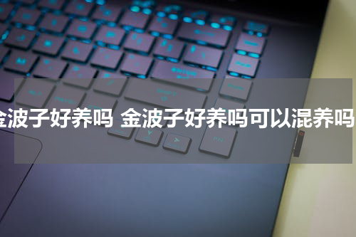 金波子好养吗 金波子好养吗可以混养吗