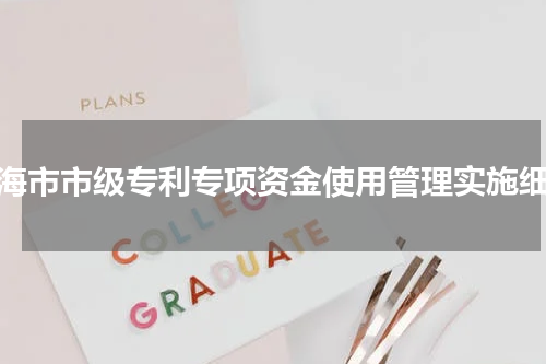 威海市市级专利专项资金使用管理实施细则