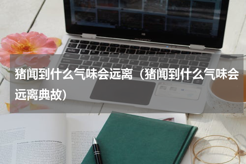 猪闻到什么气味会远离（猪闻到什么气味会远离典故）