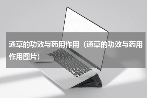 通草的功效与药用作用（通草的功效与药用作用图片）