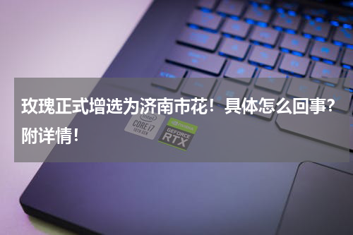 玫瑰正式增选为济南市花！具体怎么回事？附详情！