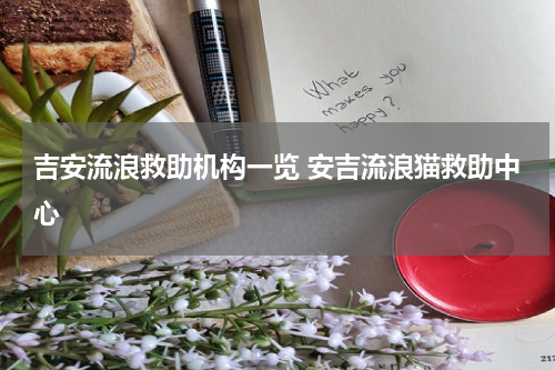 吉安流浪救助机构一览 安吉流浪猫救助中心