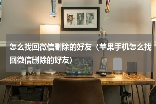 怎么找回微信删除的好友（苹果手机怎么找回微信删除的好友）