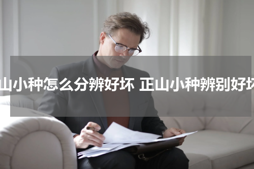 正山小种怎么分辨好坏 正山小种辨别好坏