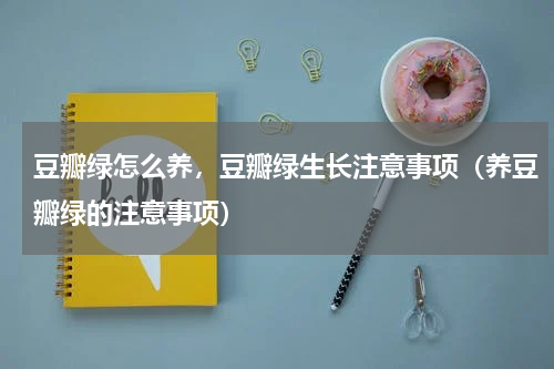 豆瓣绿怎么养，豆瓣绿生长注意事项（养豆瓣绿的注意事项）