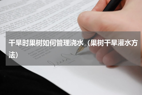 干旱时果树如何管理浇水（果树干旱灌水方法）