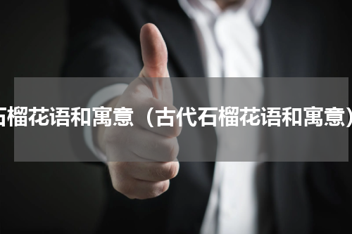 石榴花语和寓意（古代石榴花语和寓意）