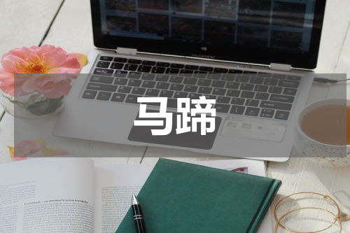 马蹄