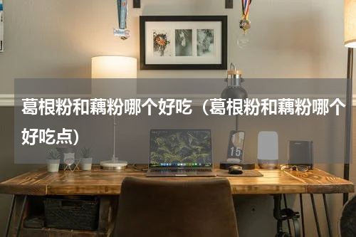 葛根粉和藕粉哪个好吃（葛根粉和藕粉哪个好吃点）