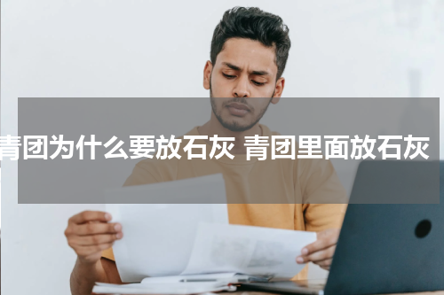 青团为什么要放石灰 青团里面放石灰