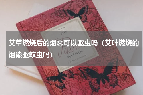 艾草燃烧后的烟雾可以驱虫吗（艾叶燃烧的烟能驱蚊虫吗）
