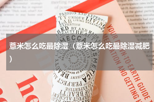 薏米怎么吃最除湿（薏米怎么吃最除湿减肥）
