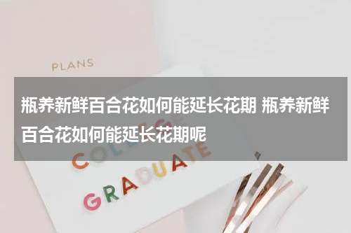 瓶养新鲜百合花如何能延长花期 瓶养新鲜百合花如何能延长花期呢