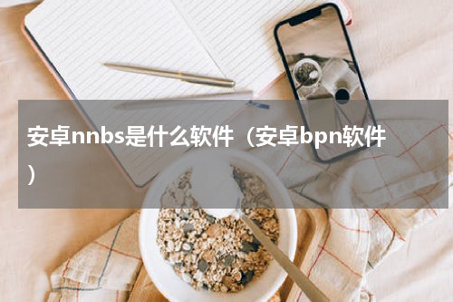 安卓nnbs是什么软件（安卓bpn软件）