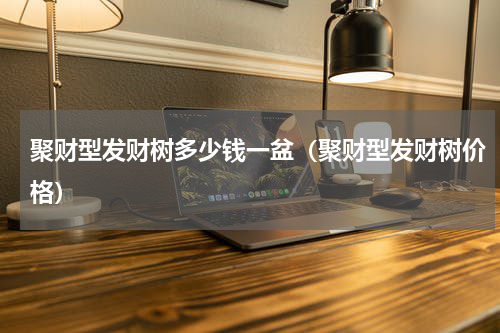 聚财型发财树多少钱一盆（聚财型发财树价格）