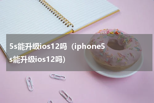 5s能升级ios12吗（iphone5s能升级ios12吗）