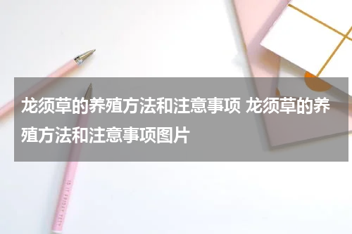 龙须草的养殖方法和注意事项 龙须草的养殖方法和注意事项图片