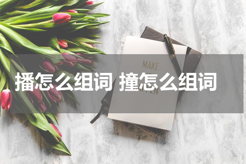 播怎么组词 撞怎么组词
