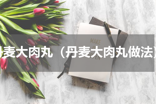 丹麦大肉丸（丹麦大肉丸做法）