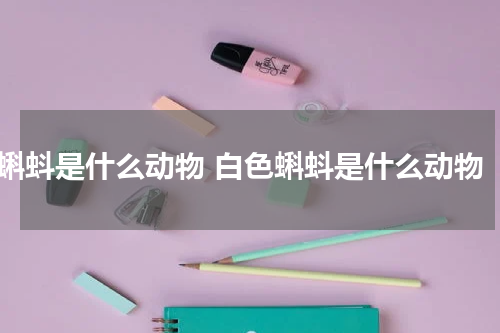 蝌蚪是什么动物 白色蝌蚪是什么动物