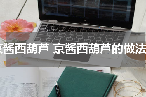 京酱西葫芦 京酱西葫芦的做法