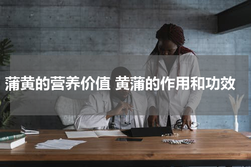 蒲黄的营养价值 黄蒲的作用和功效