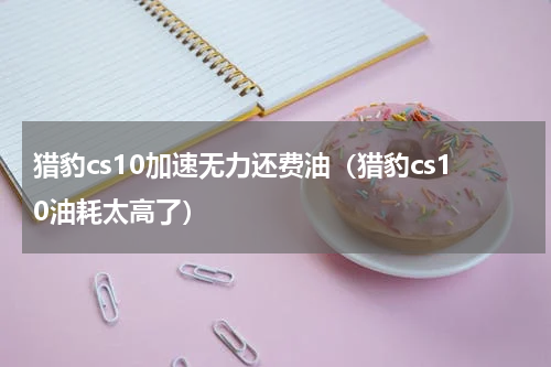 猎豹cs10加速无力还费油（猎豹cs10油耗太高了）