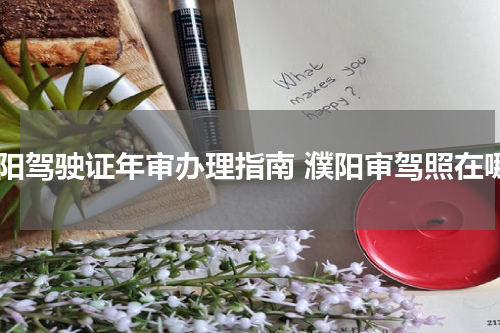 濮阳驾驶证年审办理指南 濮阳审驾照在哪