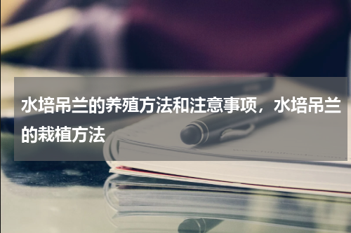 水培吊兰的养殖方法和注意事项，水培吊兰的栽植方法