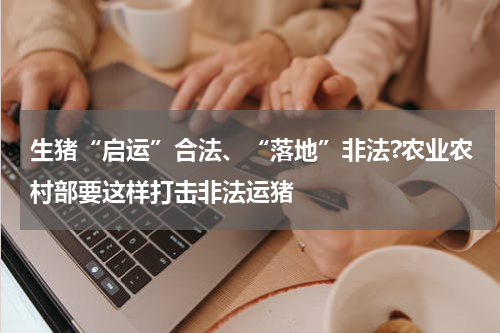 生猪“启运”合法、“落地”非法?农业农村部要这样打击非法运猪