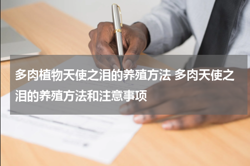 多肉植物天使之泪的养殖方法 多肉天使之泪的养殖方法和注意事项