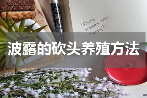 波露的砍头养殖方法