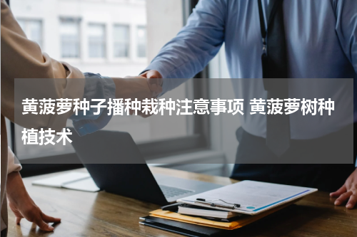 黄菠萝种子播种栽种注意事项 黄菠萝树种植技术