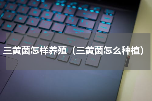 三黄菌怎样养殖（三黄菌怎么种植）