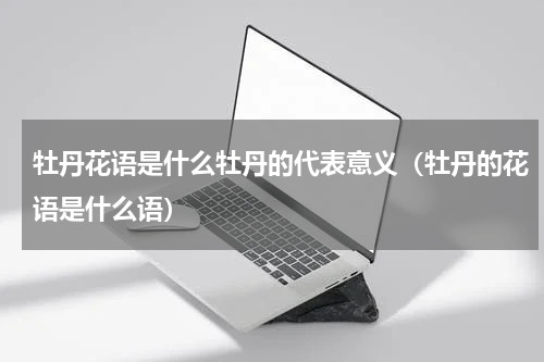 牡丹花语是什么牡丹的代表意义（牡丹的花语是什么语）