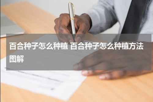 百合种子怎么种植 百合种子怎么种植方法图解