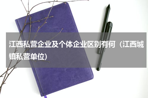 江西私营企业及个体企业区别有何（江西城镇私营单位）