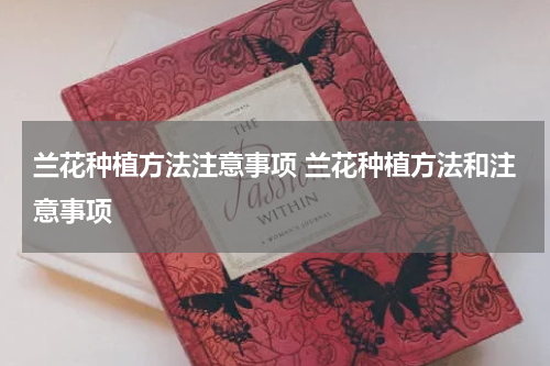 兰花种植方法注意事项 兰花种植方法和注意事项