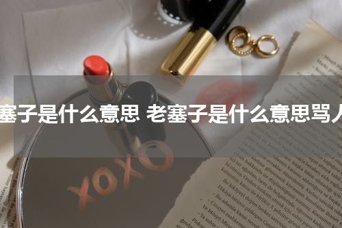 老塞子是什么意思 老塞子是什么意思骂人