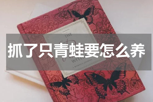 抓了只青蛙要怎么养