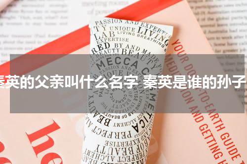 秦英的父亲叫什么名字 秦英是谁的孙子