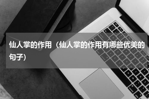仙人掌的作用（仙人掌的作用有哪些优美的句子）