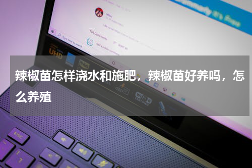 辣椒苗怎样浇水和施肥，辣椒苗好养吗，怎么养殖