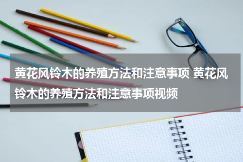 黄花风铃木的养殖方法和注意事项 黄花风铃木的养殖方法和注意事项视频